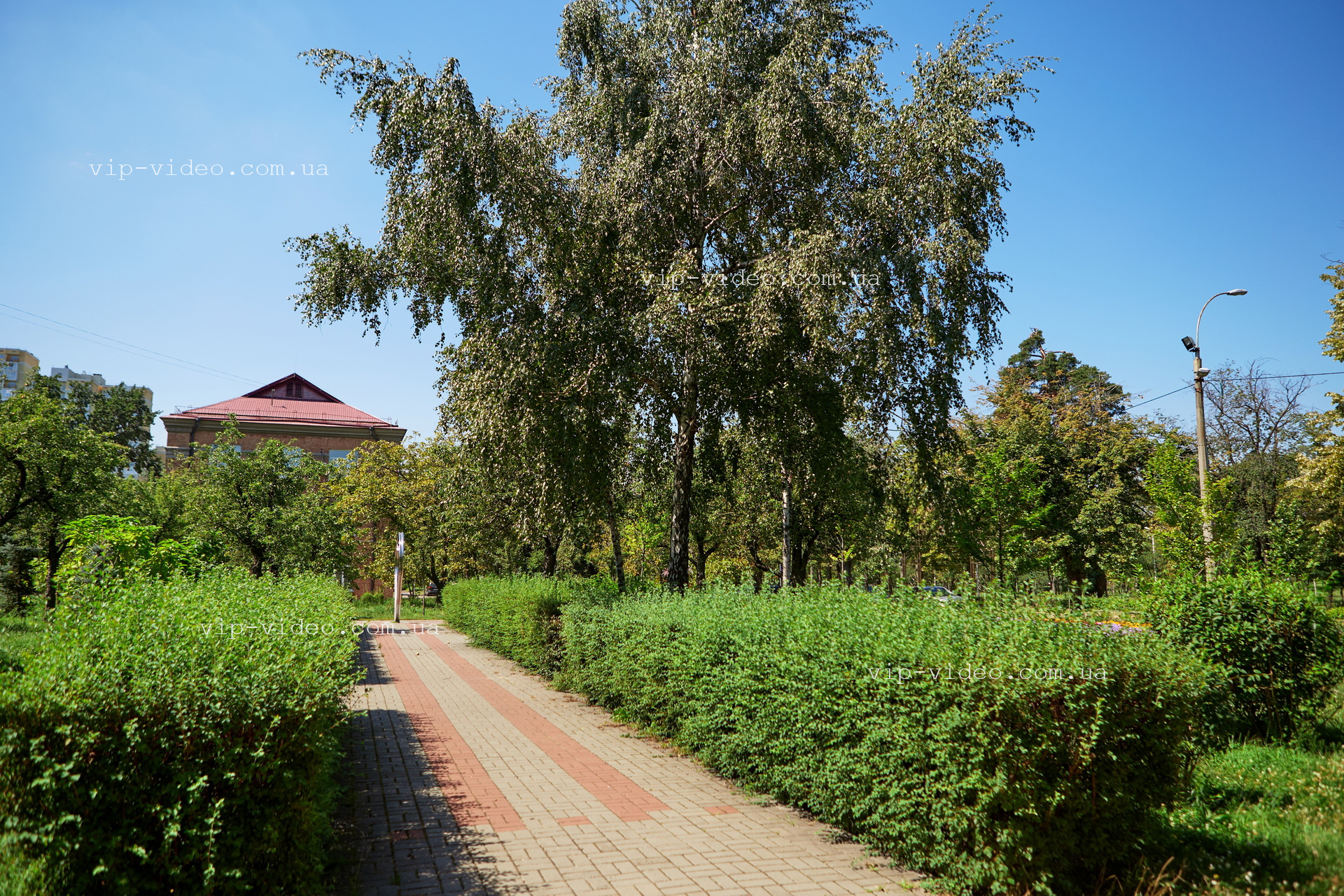Фотографія паркової зони, що знаходиться поряд з Дарницьким РАЦС міста Київ