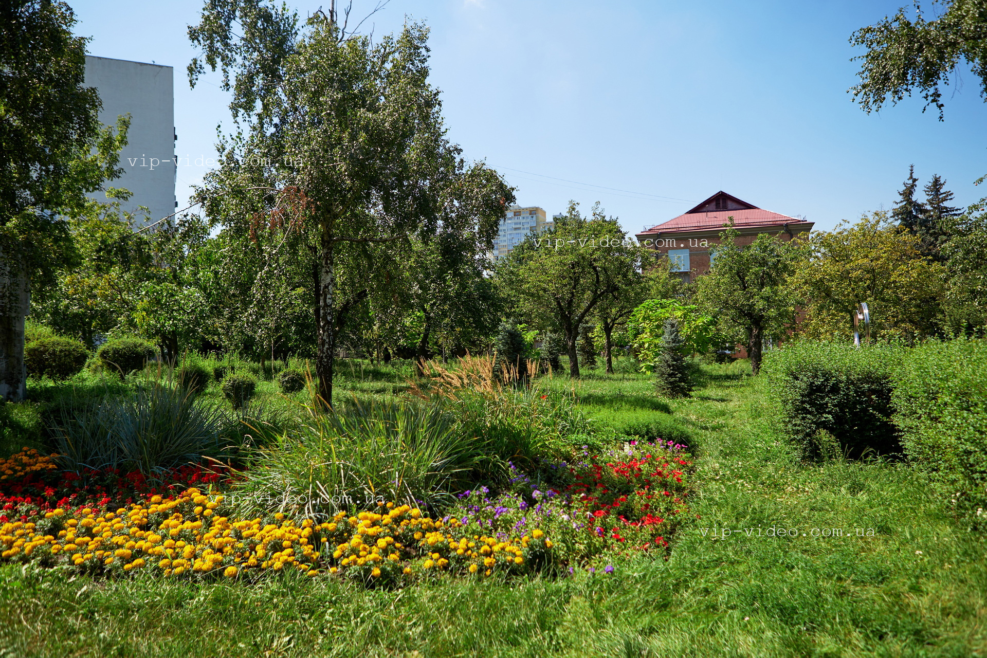 Фотографія паркової зеленої зони Дарницького РАЦС міста Київ